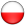 Poola keel